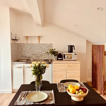 Charming Studio, Bright, Central, Quiet * Saint-Etienne (Loire)