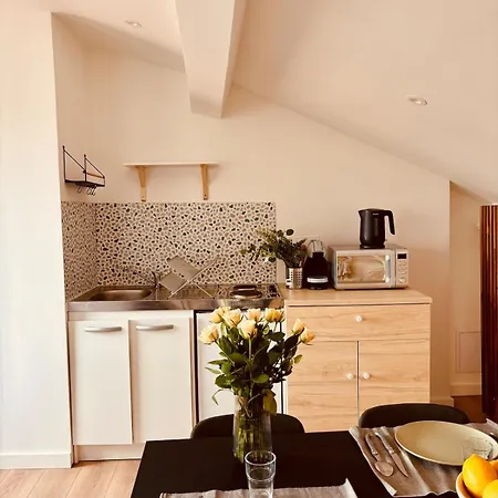 Charming Studio, Bright, Central, Quiet * Saint-Etienne (Loire)